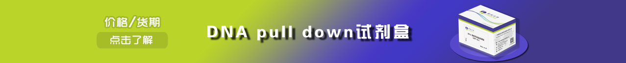 DNA pull-down試劑盒-強(qiáng)親和力/操作簡便/周期短-輝駿生物DNA pulldown檢測試劑盒