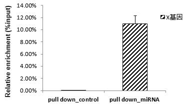 輝駿生物miRNA pull down qPCR檢測結(jié)果（陽性）