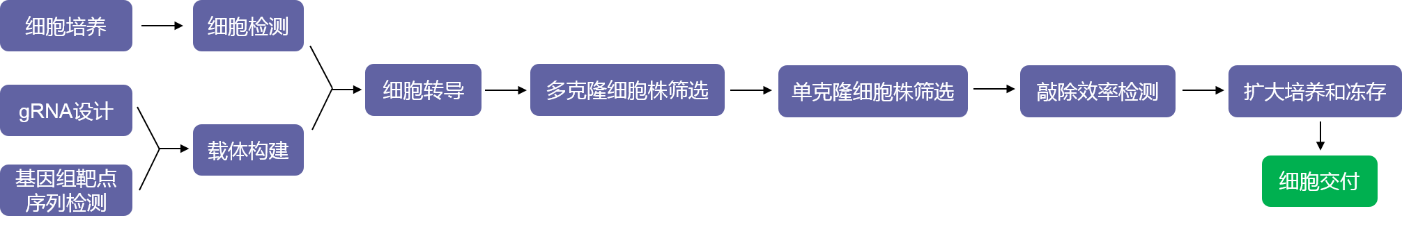 基因敲除單克隆細胞株構建實驗流程-輝駿生物不成功不收費.png